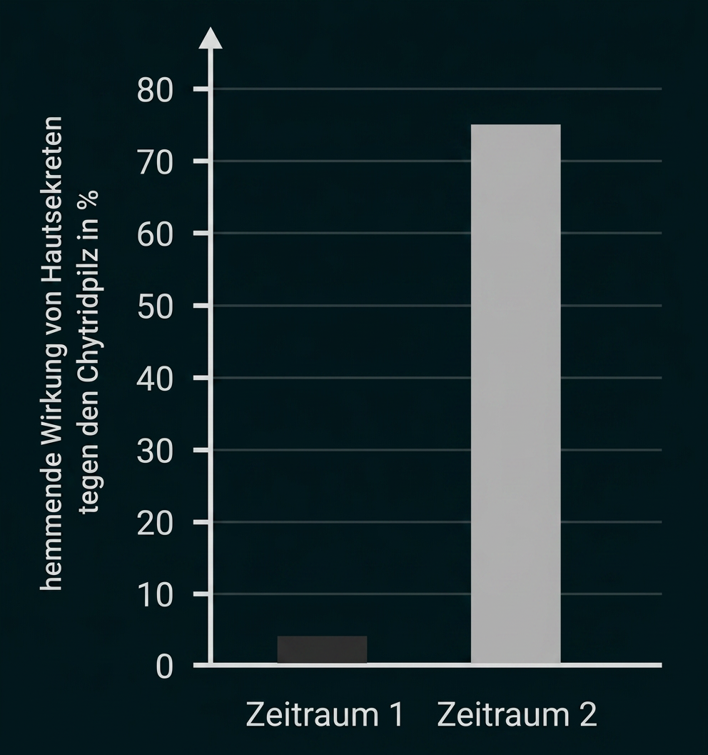 Balkendiagramm zur hemmenden Wirkung von Haushaltssekreten gegen den Chytridpilz in zwei Zeiträumen.